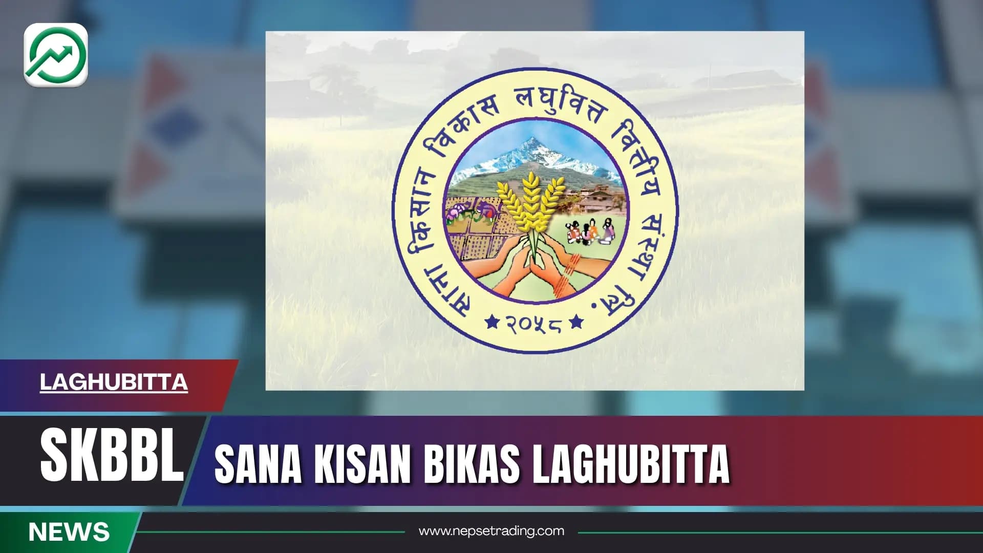 Sana Kisan Bikas Laghubitta: When the Numbers Tell Two Different Stories at Once