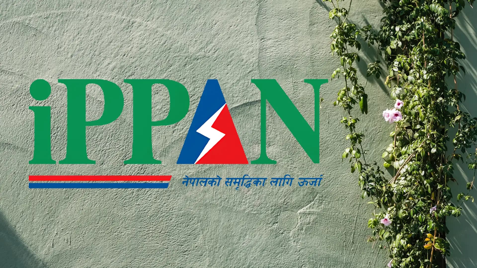 IPPAN Urges NEA to Open PPA Process for 16,000 MW of Pending Projects