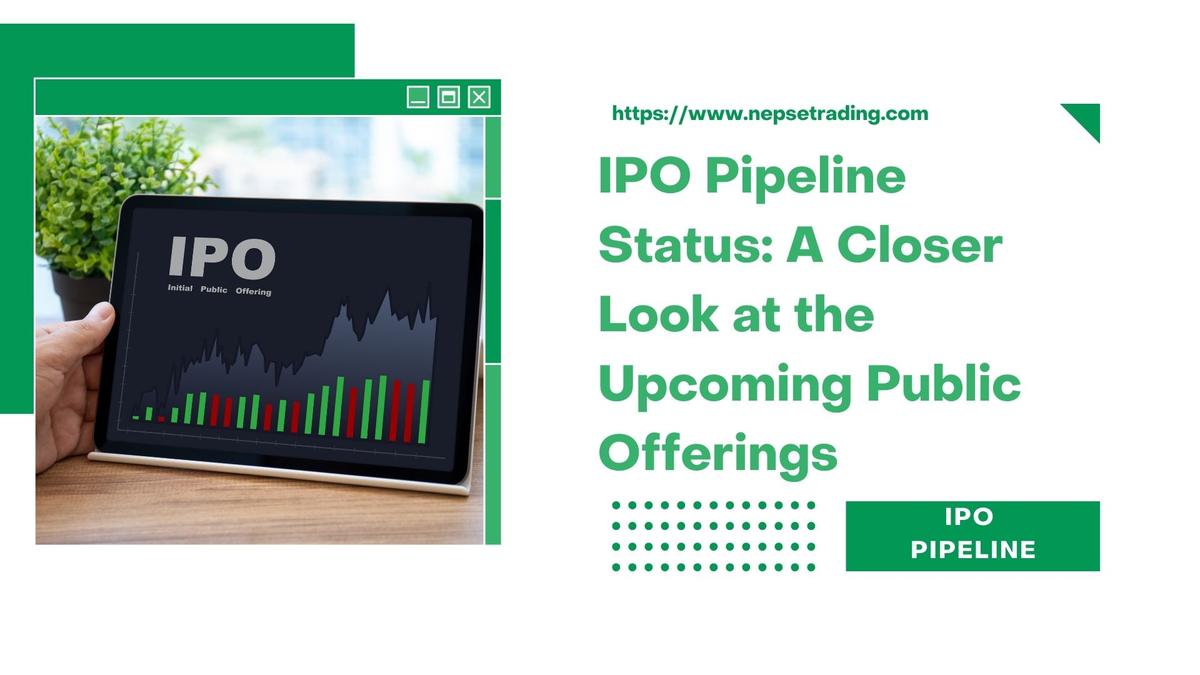 IPO Pipeline Status: A Closer Look at the Upcoming Public Offerings 