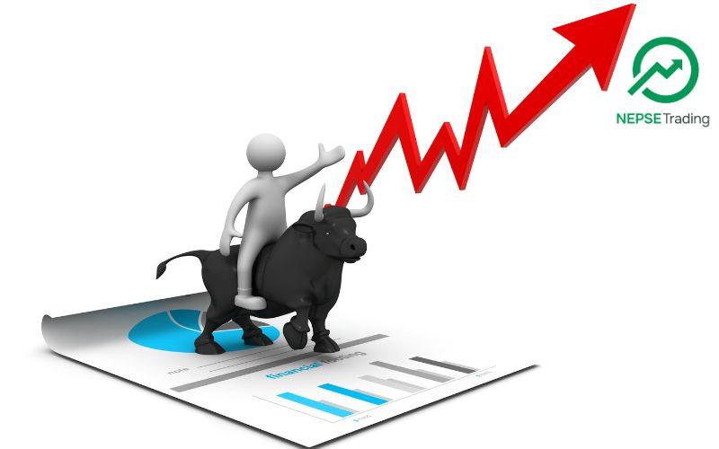 Small and Mid-Level Investors Drive Margin Loan Growth, but Market Power Remains Concentrated