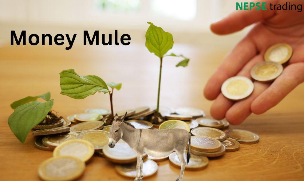 'Money Mule' Financial Crime: Nepal Rastra Bank