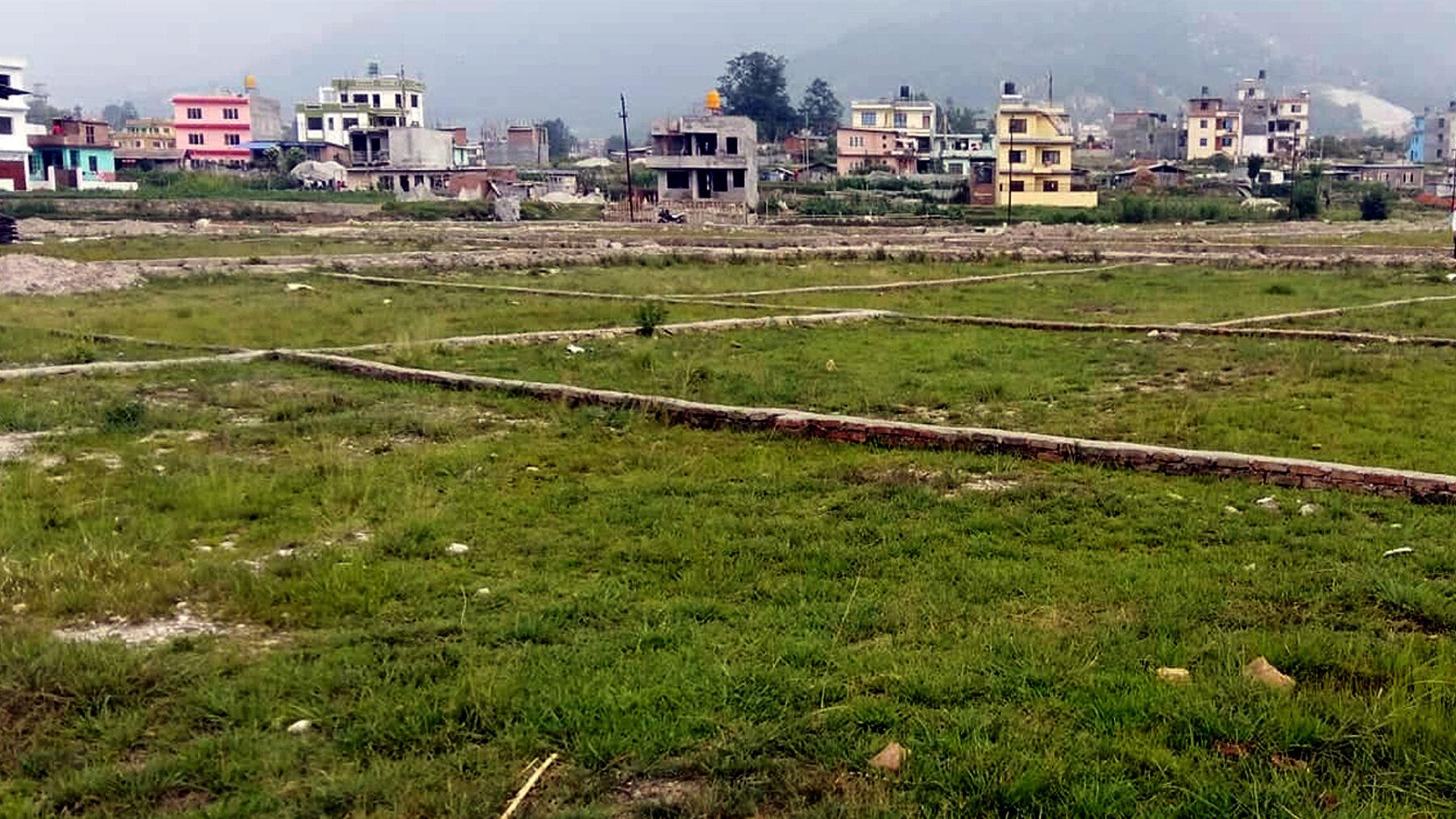 घर जग्गा कारोबारमा वृद्धि, पुस महिनामा ४  अर्ब २५ करोड राजश्व सङ्कलन