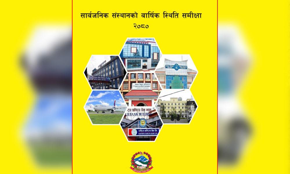 28 Out of 45 Public Enterprises in Profit, 15 in Loss, 2 Shut Down – Dividend Collection Declines