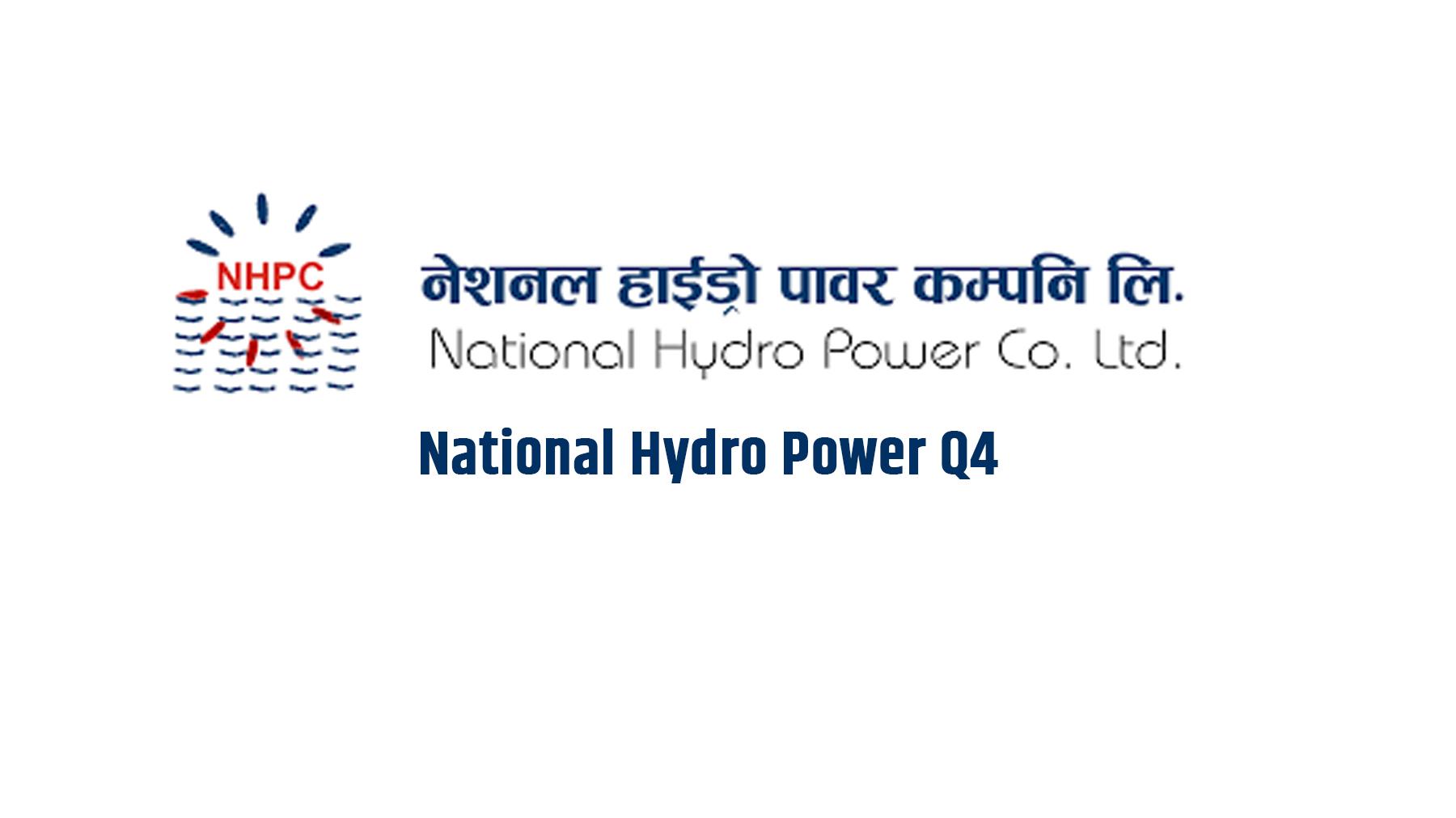 National Hydro Power Q4 Results: Return to Profitability Amid Volatile Margins