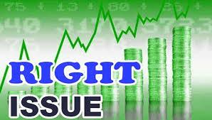 Narayani Development Bank Opens 100% Rights Issue for Applications from Today
