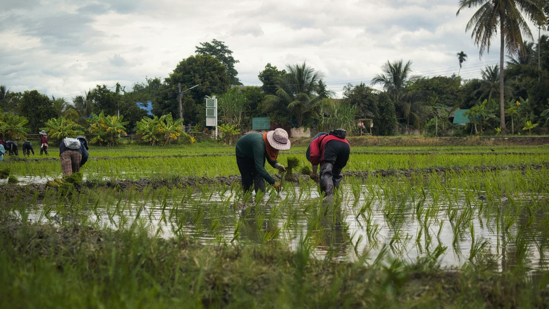 Nepal’s Agriculture Economy Under Pressure as Youth Migration and Rising Imports Reshape Rural Life
