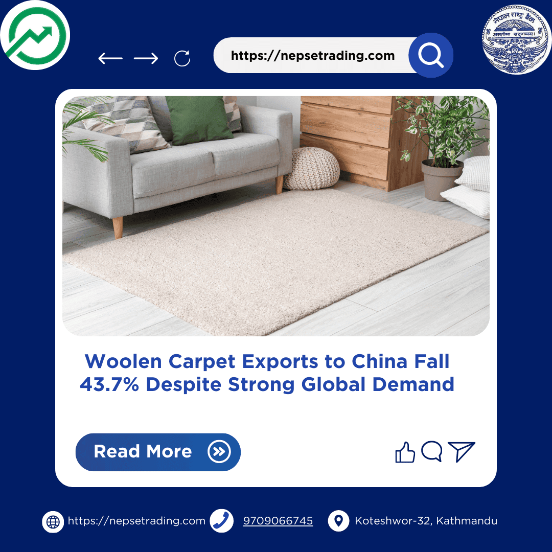 Woolen Carpet Exports to China Fall 43.7% Despite Strong Global Demand