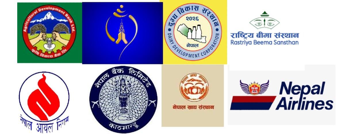 Government Unveils Comprehensive Reform Roadmap for Public Enterprises: Focus on Efficiency, Governance, and Financial Discipline